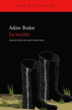 LA SECCIÓNA