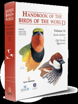 Handbook of the Birds of the World û Vol.14 (Bush-shrikes to Old World Sparrows)
