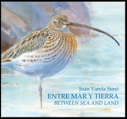 Entre Mar y Tierra / Between Sea and Land