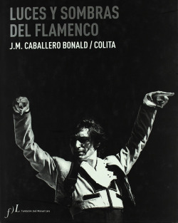 Luces y sombras del flamenco
