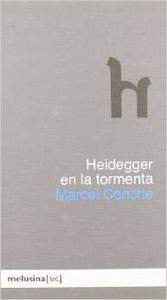 Heidegger en la tormenta
