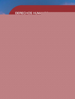 Derechos humanos y discapacidad