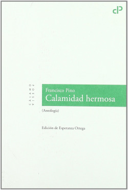 Calamidad hermosa