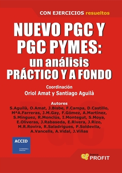 Nuevo PGC y PGC PYMES: Un análisis práctico y a fondo