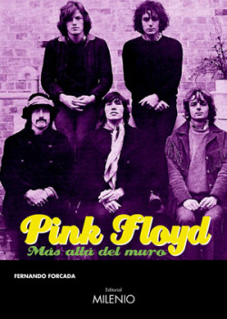 Pink Floyd. Mas alla del muro