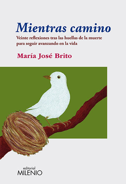 Mientras camino