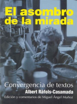 ASOMBRO DE LA MIRADA
