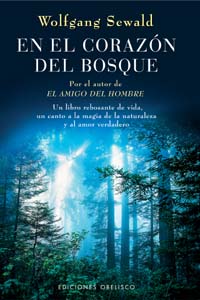 En el corazon del bosque