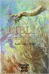 Biblia popular galega
