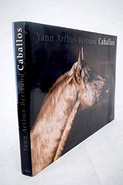 Caballos