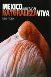 México naturaleza viva