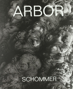 Arbor