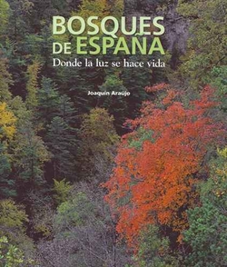 bosques de españa.donde la luz se hace vida
