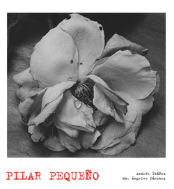 LUNWERG PHOTO PILAR PEQUEÑO