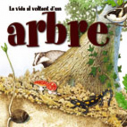 La vida al voltant d'un arbre