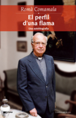 El perfil d'una flama