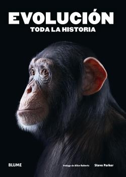 Evolución