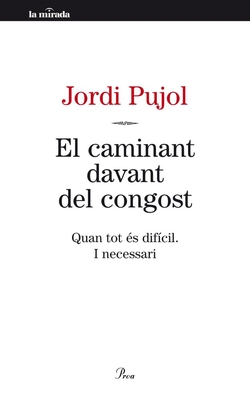 El caminant davant del congost