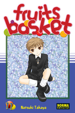 Fruits basket 11