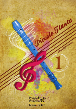 Piccolo flauta 1r.primaria.(+`cd)