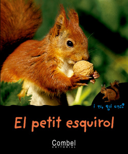 El petit esquirol