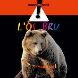 L'ós bru