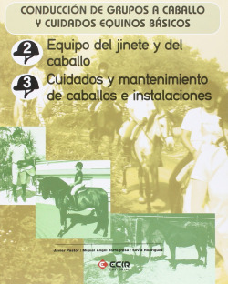 EQUIPO DEL JINETE 2 Y 3 - G.MEDIO