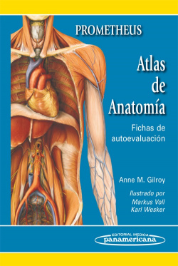 ATLAS DE ANATOMÍA
