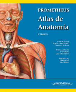 Prometheus. Atlas de Anatomía.