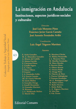La inmigracion en andalucia