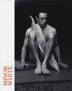 MINOR WHITE (CATALAN)