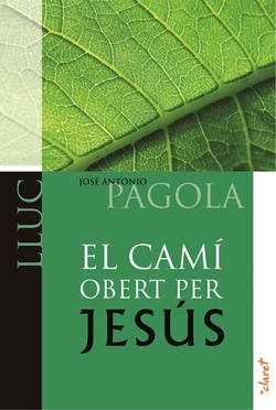 El camí obert per Jesús. Lluc