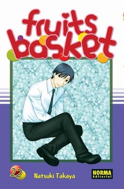 Fruits basket 22