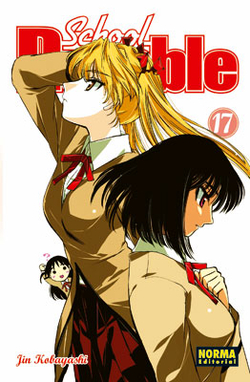 School Rumble, 17