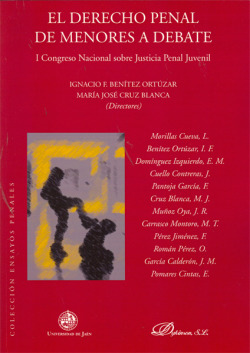 Derecho penal de menores a debate