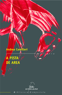 A pista de area