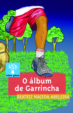 O álbum de Garrincha