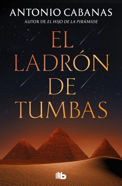 El ladron de tumbas