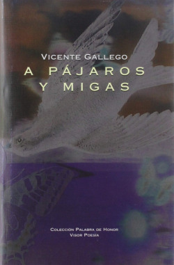A PÁJAROS Y MIGAS