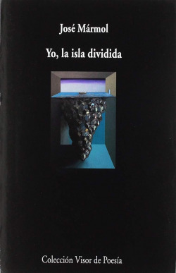 YO, LA ISLA DIVIDIDA
