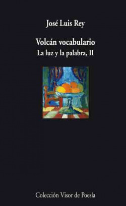 *VOLCAN VOCABULARIO V-738 LA LUZ Y LA PALABRA II