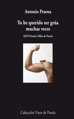 YO HE QUERIDO SER GRúA MUCHAS VECES