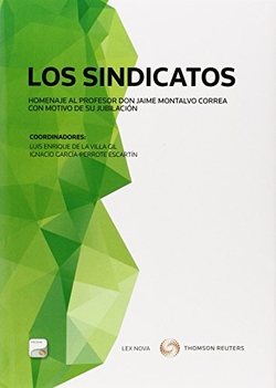 Los Sindicatos (Papel + e-book)
