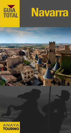 Navarra 2015