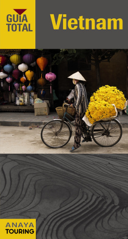 Vietnam 2016