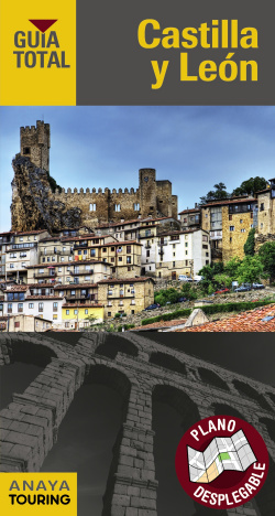 CASTILLA Y LEÓN 2017