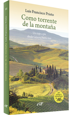 Como torrente montaña.(Surcos)