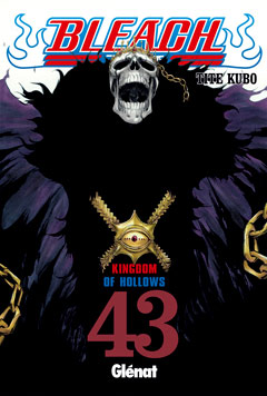 Bleach 43