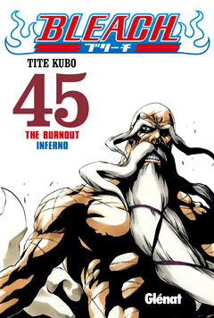 Bleach 45