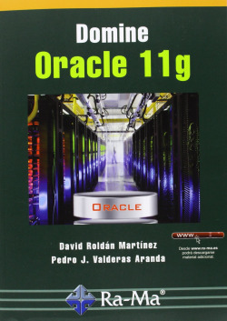 DOMINE ORACLE 11G